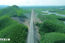 L’un des piliers essentiels permettant au Vietnam d’atteindre son objectif de neutralité carbone d’ici 2050 réside dans les importants puits de carbone que constituent ses forêts, ses mers et ses écosystèmes naturels. Photo : VNA