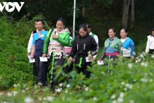 Dans la brume matinale de la frontière, des groupes d'habitants de l'ethnie Mong de la commune de Nhi Son, vêtus de leurs costumes traditionnels flamboyants, ont suivi les sentiers tortueux descendant du village vers le point de vote. Photo: VOV