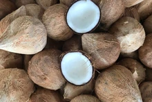 Le Vietnam a dépensé 7,2 millions de dollars pour importer de la noix de coco transformée au cours des quatre premiers mois, soit une augmentation de 11,3 fois par rapport à la même période l'année dernière. Photo: congthuong