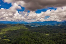 La forêt de Dong Chau s'étend à perte de vuePhoto: tienphong.vn
