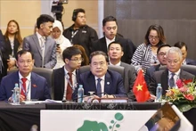 Le président de l'Assemblée nationale, Tran Thanh Man (au milieu du 1er plan). Photo : VNA.