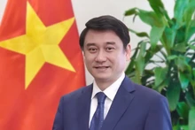 Le vice-ministre des Affaires étrangères, Le Anh Tuan. Photo : ministère vietnamien des Affaires étrangères