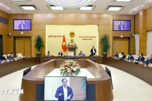 L'Assemblée nationale examine les préoccupations des citoyens sur le commerce en ligne. Photo: VNA