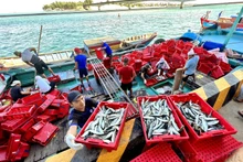 Des océans en bonne santé garantiront les moyens de subsistance de 1,45 million de travailleurs de la pêche et des communautés côtières, tout en contribuant à l’objectif national d’une économie bleue. Photo : VNA.