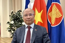 L’ambassadeur du Vietnam en France, Dinh Toan Thang. Photo : VNA.