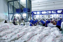 Les avantages tarifaires des accords CPTPP ou RCEP apportent des bénéfices tarifaires plus clairs que pour les marchés sans ALE avec le Japon. Photo : congthuong
