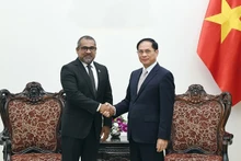 Le vice-Premier ministre Bui Thanh Son (droite) et le ministre maldivien des Affaires étrangères Abdulla Khaleel. Photo : VNA.