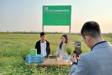 Photo d'illustration: hanoimoi.vn