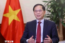 Le vice-Premier ministre vietnamien Bui Thanh Son. Photo : VNA.