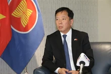 L'ambassadeur du Vietnam en République de Corée, Vu Hô. Photo: VNA.