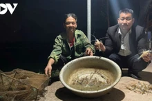 La coopération entre les coopératives et les entreprises est un moteur essentiel pour la restructuration agricole. Photo: VOV