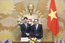Le président de l'Assemblée nationale (AN) Trân Thanh Mân (droite) et le chef de de la Division de la Jeunesse du Parti libéral-démocrate (PLD) du Japon Nakasone Yasutaka. Photo : VNA.