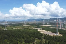 Photo d'illustration: baodautu.vn