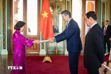 L’ambassadrice du Vietnam, Ngo Minh Nguyet, présente ses lettres de créance au président paraguayen, Santiago Peña Palacios. Photo : VNA.