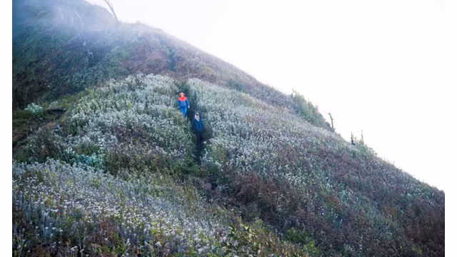 Paysage grandiose du mont Lao Thân à Lào Cai ảnh 10