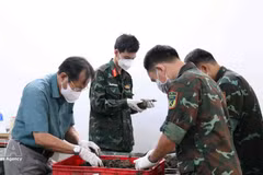 Les opérations d’exhumation et de rapatriement des restes des soldats tombés pour la Patrie, ainsi que d’identification de leurs dépouilles, sont menées conformément aux procédures et réglementations en vigueur. Photo : VNA.
