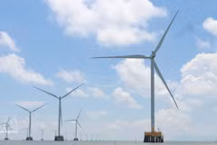 Le projet de centrale éolienne de Tân Thuân (phases 1 et 2), dans la commune éponyme de la province de Cà, a une capacité totale de 75 MW, comprenant 18 tours de turbines éoliennes. Photo : VNA. 