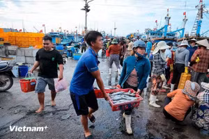 À quelques kilomètres seulement du centre-ville de Phan Rang-Thap Cham, le port de My Tan est non seulement un important centre halieutique de l'ancienne province de Ninh Thuan, aujourd'hui rattachée à Khanh Hoa, mais aussi le reflet vivant du quotidien des communautés maritimes, imprégné de l'esprit de la mer. Photo : Vietnamplus.