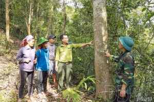 Des autorités et Des habitants de la commune de Muong Nhe patrouillent la forêt et préservent la biodiversité de la réserve naturelle de Muong Nha. Photo : dienbienphu.vn