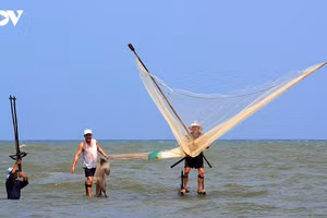 Autrefois simple technique de subsistance des pêcheurs de Thinh Long, la marche sur échasses en mer est aujourd’hui devenue une véritable spécialité culturelle qui attire de nombreux touristes en quête de découvertes et d’expériences authentiques.