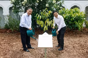 Le secrétaire général du Parti communiste du Vietnam et président de la République To Lam et le Premier ministre Lawrence Wong plantent un arbre au Jardin botanique de Singapour. Photo : VNA.