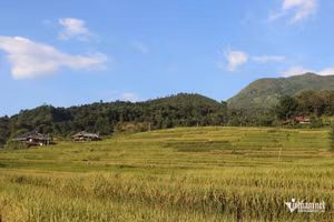 Grâce aux investissements réalisés dans le cadre du Programme national cible 1719, les conditions de vie des populations des régions montagneuses de Son La s’améliorent progressivement. Photo : vietnamnet.vn