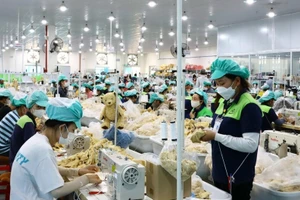 Le salaire minimum des travailleurs sous contrat augmentera également en vertu du décret n°293/2025/ND-CP. Photo d'illustration : VNA.