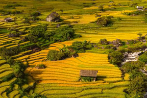 La photographe Khanh Phan, installée à Hô Chi Minh-Ville, s'est rendue pour la première fois à Nam Cang afin d'admirer les rizières dorées, du 29 au 31 juillet. Elle est immédiatement tombée sous le charme des vastes paysages sauvages et préservés de cette région. Photo : vnexpress.net