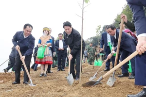 Le président Luong Cuong participe à la plantation d’arbres avec les délégués et la population locale dans le cadre du projet du parc culturel de Lao Cai, dans le quartier de Cam Duong. Photo : VNA.