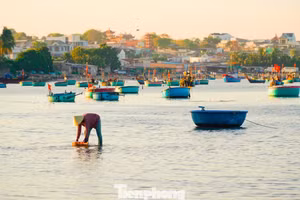 Mui Ne (quartier de Mui Ne, province de Lam Dong) ne séduit pas uniquement par ses longues plages et ses complexes hôteliers en bord de mer. Les visiteurs sont également attirés par un tout autre visage : celui d’un village de pêcheurs traditionnel et paisible, où le rythme de la vie commence dès les premières lueurs du jour. Photo : tiemphong.vn