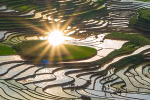 La saison des eaux constitue un attrait particulier pour les visiteurs venus contempler les rizières en terrasses de Muong Bo. Photo : baolaocai.vn