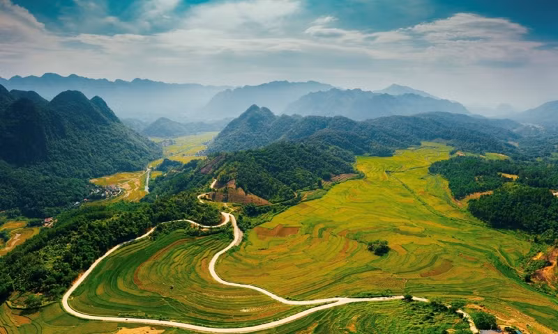 Les champs en terrasses de Pu Luong.