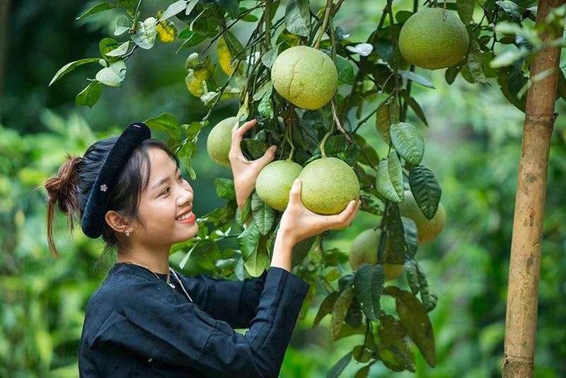 La tenue traditionnelle des filles Tày a comme couleur principale le noir, mettant en valeur leur jolie peau. Photo : Pham Ngoc Bang.