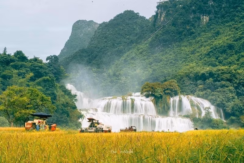 La cascade de Ban Giôc, située dans le district de Trùng Khanh à environ 90 km de la ville de Cao Bang, est la plus grande cascade d’Asie du Sud-Est.