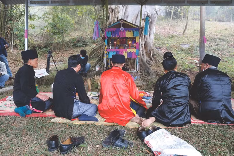 La fête "Xên dông" commence par un rituel du culte de la forêt organisé sous un banian centenaire. Photo: VNA.