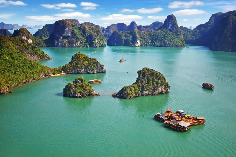 Pour la toute première fois, la Journée « Vietnam – UE : s'unir pour un environnement propre » s’est tenue le 12 mai dans la ville de Ha Long, province de Quang Ninh (au nord). Photo : vnexpress.