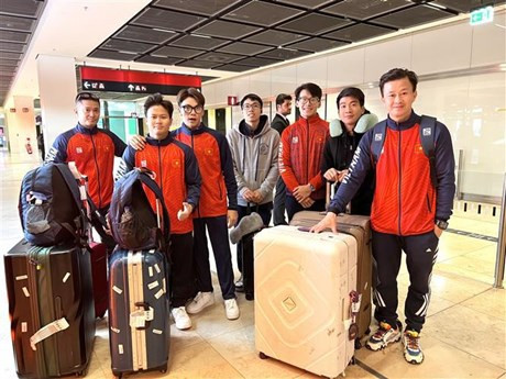 Les gymnastes vietnamiens s'efforcent de remporter un billet pour les Jeux olympiques de Paris. Photo : VNA.
