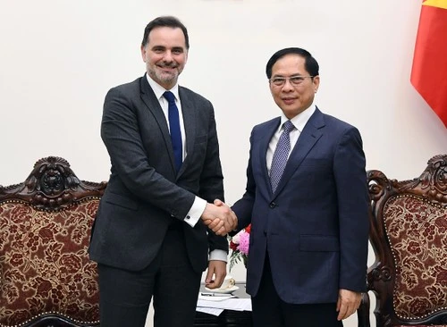Le vice-Premier ministre Bùi Thanh Son (à droite) et le ministre délégué chargé du Commerce extérieur et des Français de l’étranger Laurent Saint-Martin. Photo : baochinhphu.