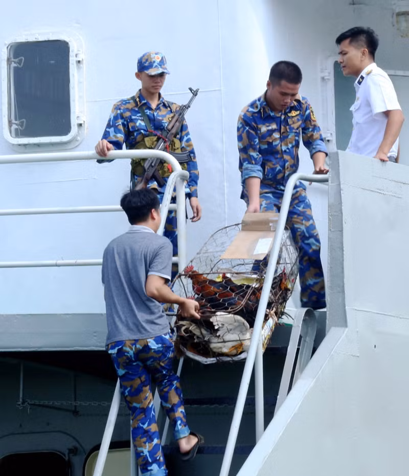 Poulet, riz au porc, riz gluant, feuilles de dong, haricots verts, fleurs d'abricot, fleurs de pêcher, kumquats, fruits confits, bonbons... seront transportés jusqu'aux plates-formes DK1, afin d'apporter aux soldats l'atmosphère du Têt. Photo : Cao Cuong.
