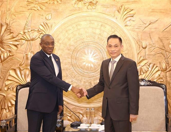 Lê Hoai Trung (droite), chef de la Commission centrale des relations extérieures du PCV, et Sahy Claude Soumahoro, secrétaire exécutif adjoint en charge de la Communication et de la Propagande du RHDP. Photo: VNA.