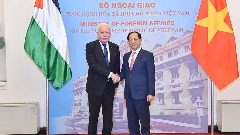 Le vice-Premier ministre Bui Thanh Son (droite) reçoit l'envoyé spécial du président palestinien Riad Malki. Photo: VNA