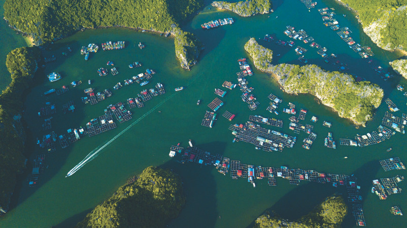 Vue aérienne de la baie de Lan Ha à Hai Phong (au Nord-Est du Vietnam). Photo : VNA.