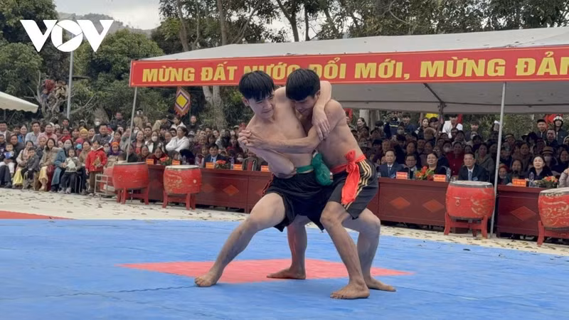Des jeunes participent à des compétitions de lutte traditionnelle. Photo : VOV Des jeunes participent à des compétitions de lutte traditionnelle. Photo : VOV