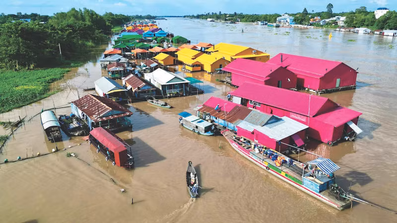 Le village de radeaux colorés de Châu Dôc, province d’An Giang. Photo : CVN.