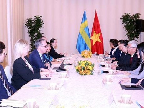 Rencontre entre le vice-président du Comité populaire municipal Vo Van Hoan et Håkan Jevrell, secrétaire d'État auprès du ministre suédois de la Coopération internationale au développement et du Commerce extérieur. Photo : VNA.