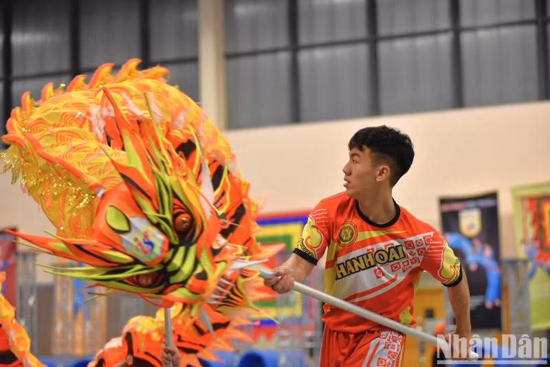 La danse du lion et du dragon, très populaire, est un art ancré dans la culture vietnamienne. Il s’agit d’une combinaison d’arts martiaux traditionnels et d’instruments de musique. Des danseurs conduisent le lion en se déplaçant au rythme du tambour. Le son des tambours est tantôt fort et animé, tantôt doux et profond, rendant la danse plus vivante et attrayante.