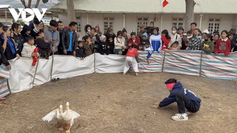 Les habitants et les touristes ont l'occasion de participer à des jeux traditionnels tels que la capture de canards avec les yeux bandés, le bris de pots en terre, les combats de coqs, etc. Photo : VOV Les habitants et les touristes ont l'occasion de participer à des jeux traditionnels tels que la capture de canards avec les yeux bandés, le bris de pots en terre, les combats de coqs, etc. Photo : VOV