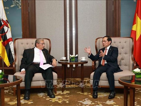 Le ministre vietnamien des Affaires étrangères Bui Thanh Son (droite) et le deuxième ministre des Affaires étrangères du Brunei, Dato Pehin Erywan Yusof. Photo : VNA
