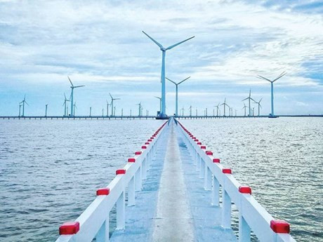 Le delta du Mékong dispose de différentes sources d'énergie renouvelables importantes. Photo : VNA.
