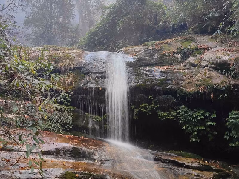 Les ruisseaux ici coulent assez fort et sont très glissants. Les ruisseaux ici coulent assez fort et sont très glissants.